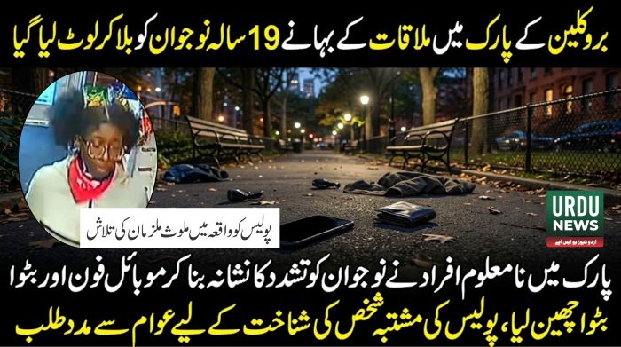 بروکلین کے پارک میں ملاقات کے بہانے 19 سالہ نوجوان کو بلا کر لوٹ لیا گیا