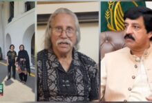 بلاول بھٹو آئندہ وزیر اعظم ہونگے، گورنر پنجاب سلیم حیدر کی اعجاز فرخ سے بات چیت