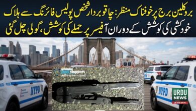 نیویارک کے بروکلین برج پر خودکشی کی کوشش کرنیوالا چاقو بردار شخص پولیس فائرنگ سے جاں بحق