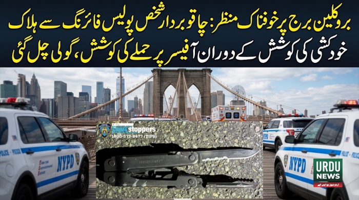 نیویارک کے بروکلین برج پر خودکشی کی کوشش کرنیوالا چاقو بردار شخص پولیس فائرنگ سے جاں بحق