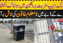 نیویارک کے علاقے نیپ سٹریٹ بروکلین میں کچرے کے ڈبے میں نا معلوم خاتون کی لاش برامد